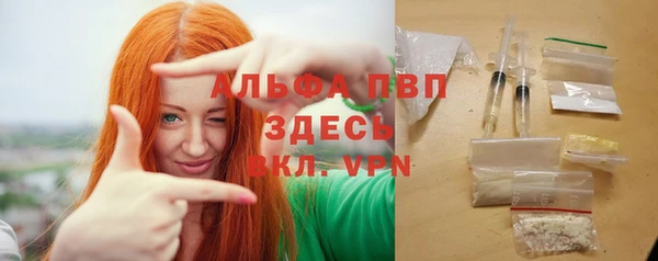 хмурый Каменногорск