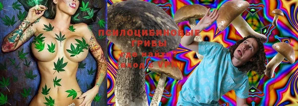 хмурый Каменногорск