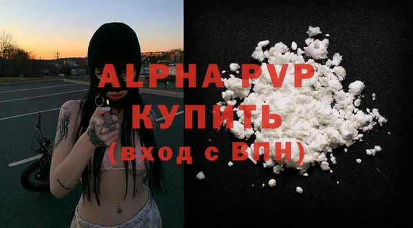хмурый Каменногорск
